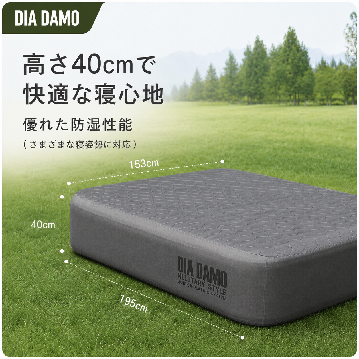 DIA DAMO AIR BED (内蔵式電動ポンプ)